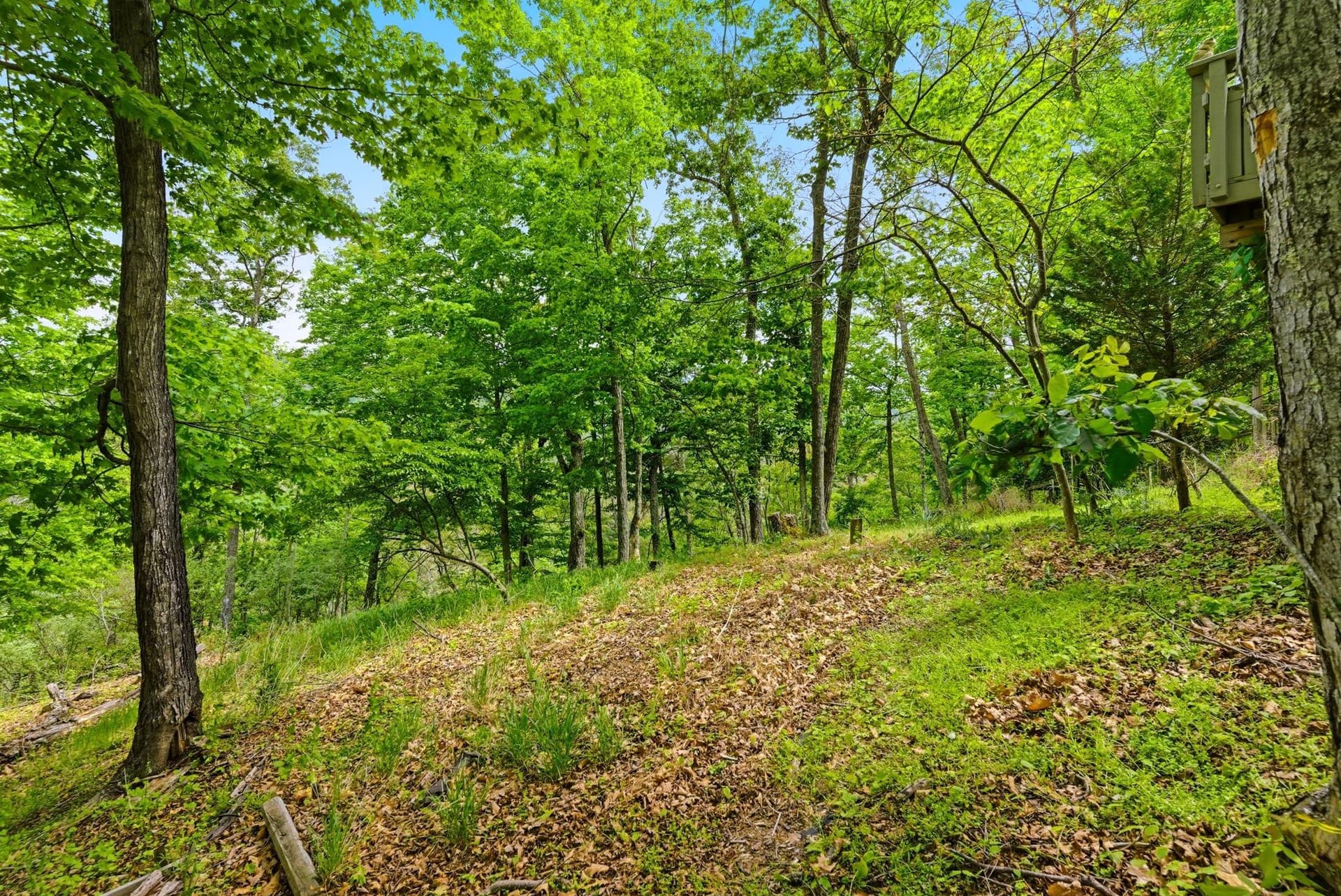 500 Largent Heights Lane photo 76