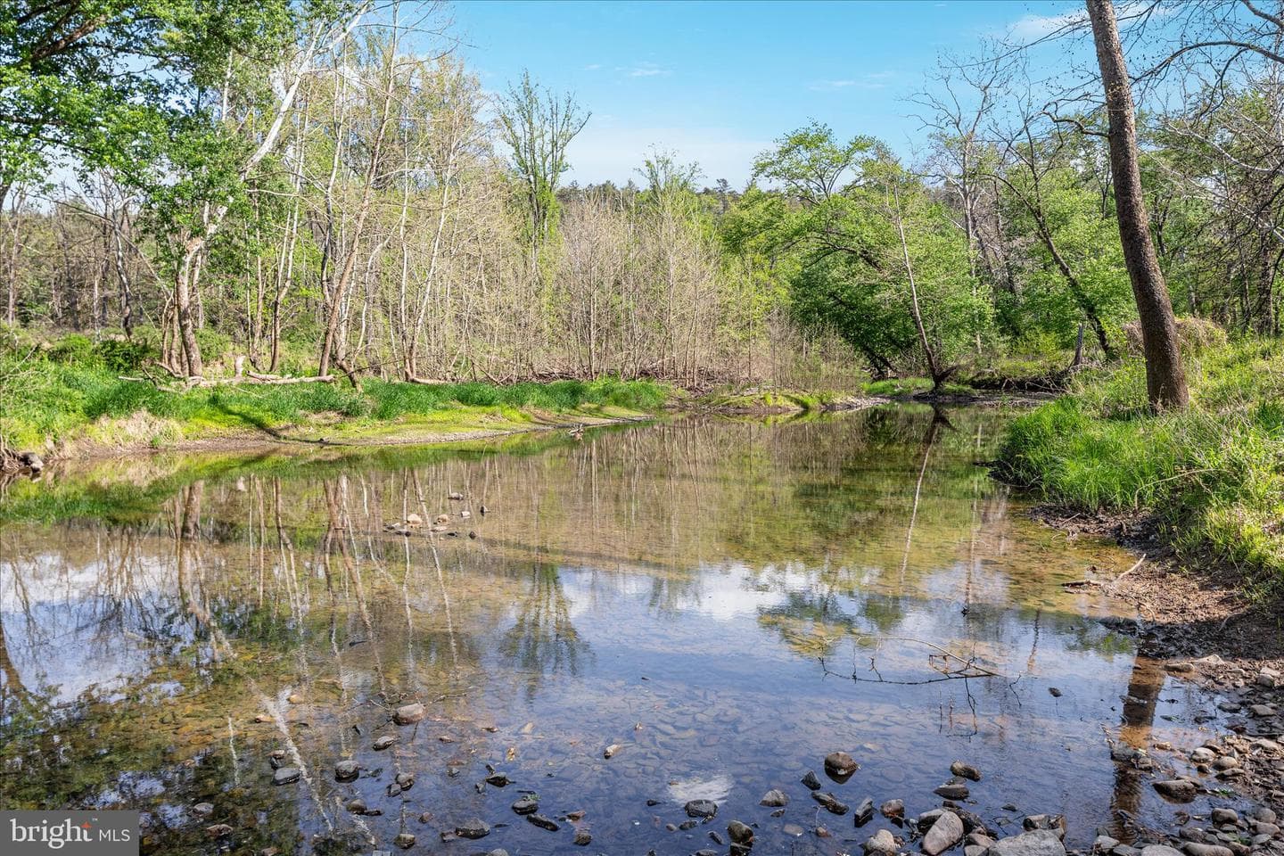 9897 Carpers Pike photo 31