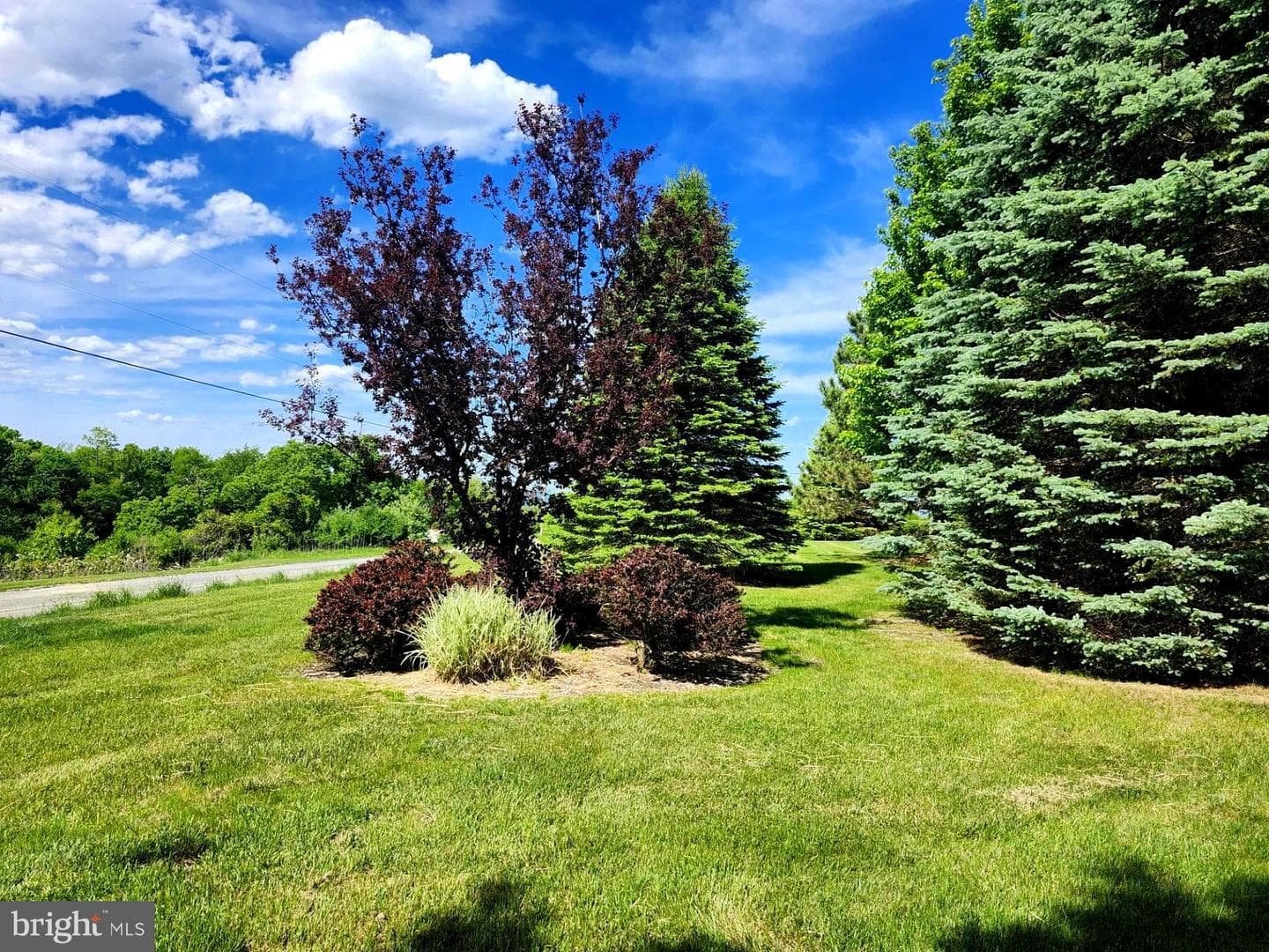 2362 Skyview Drive photo 10