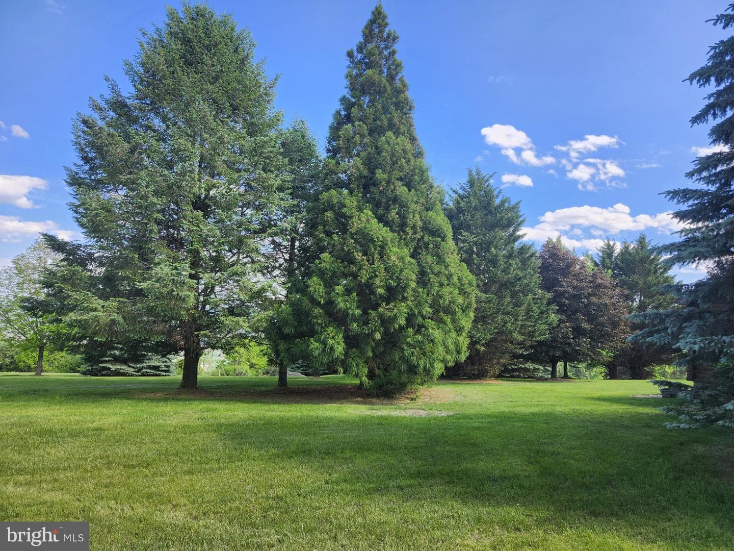 2362 Skyview Drive photo 95