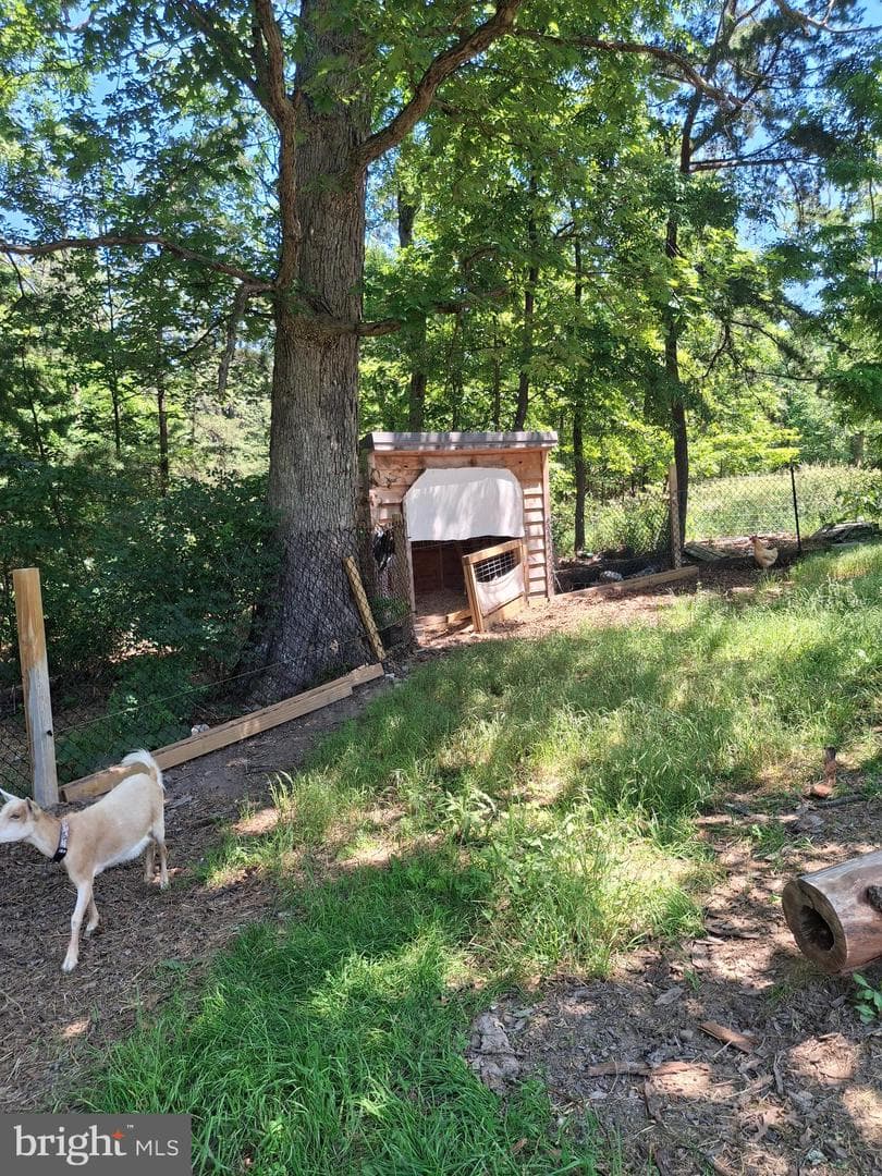 2334 Ash Ruckman Road photo 19