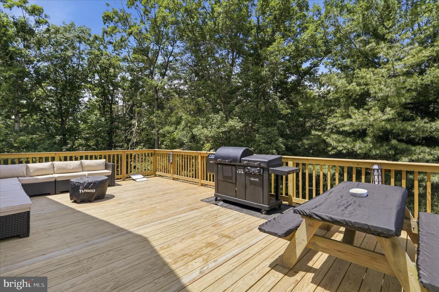 2334 Ash Ruckman Road photo 52