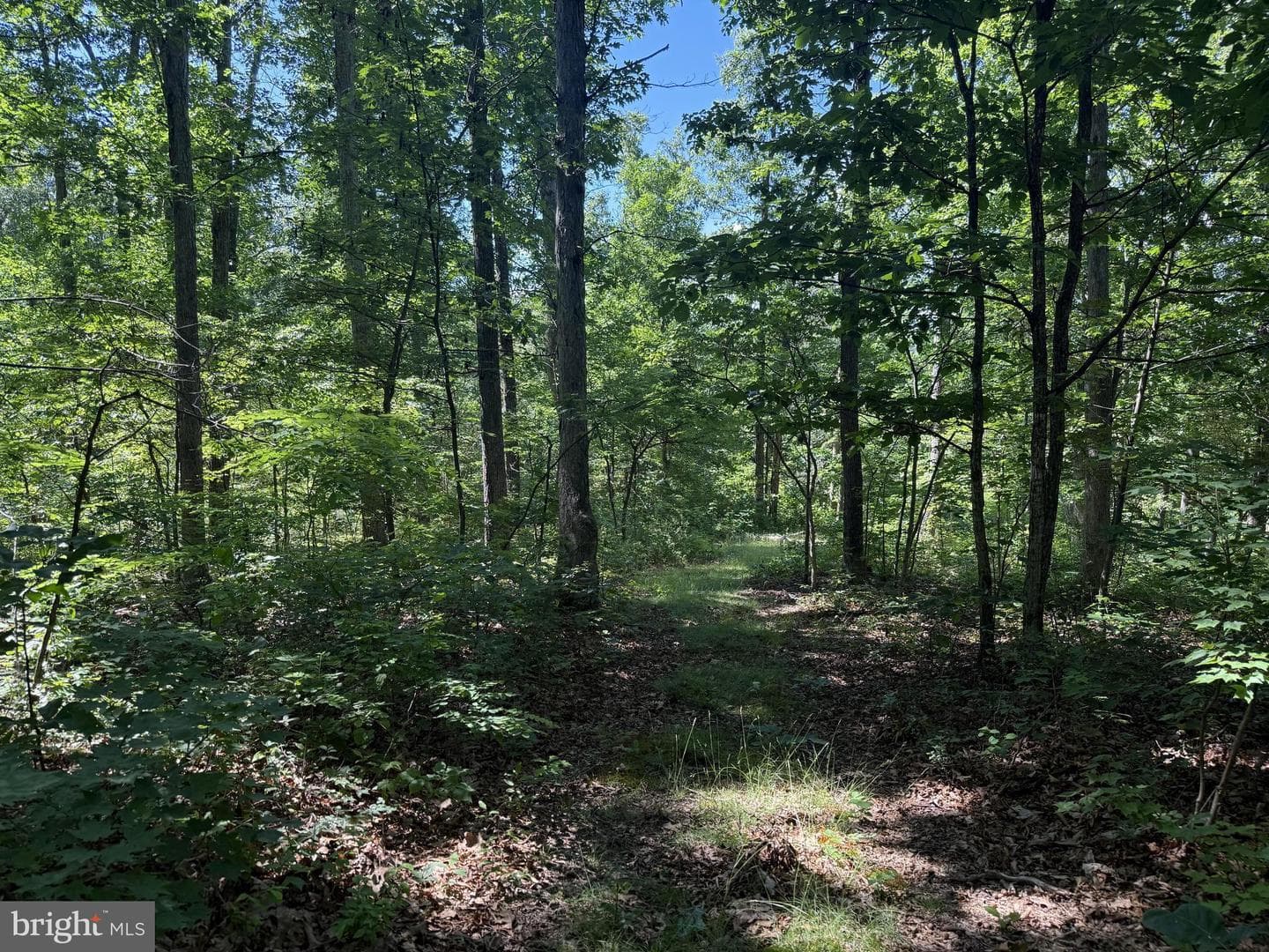 750 Hickory Corner Road photo 38