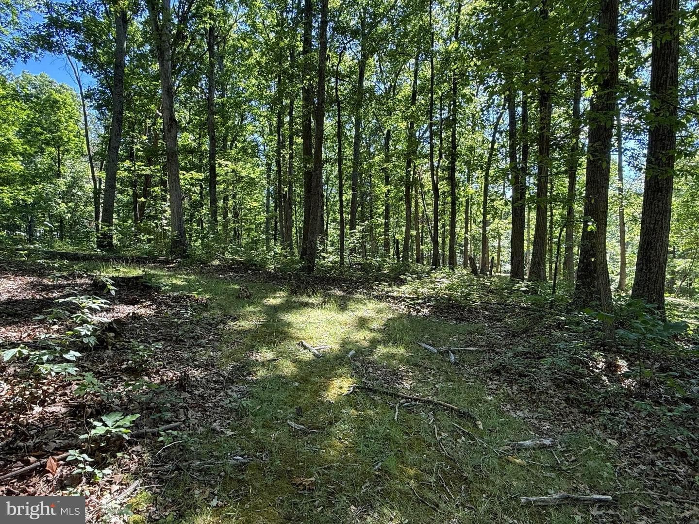 750 Hickory Corner Road photo 42