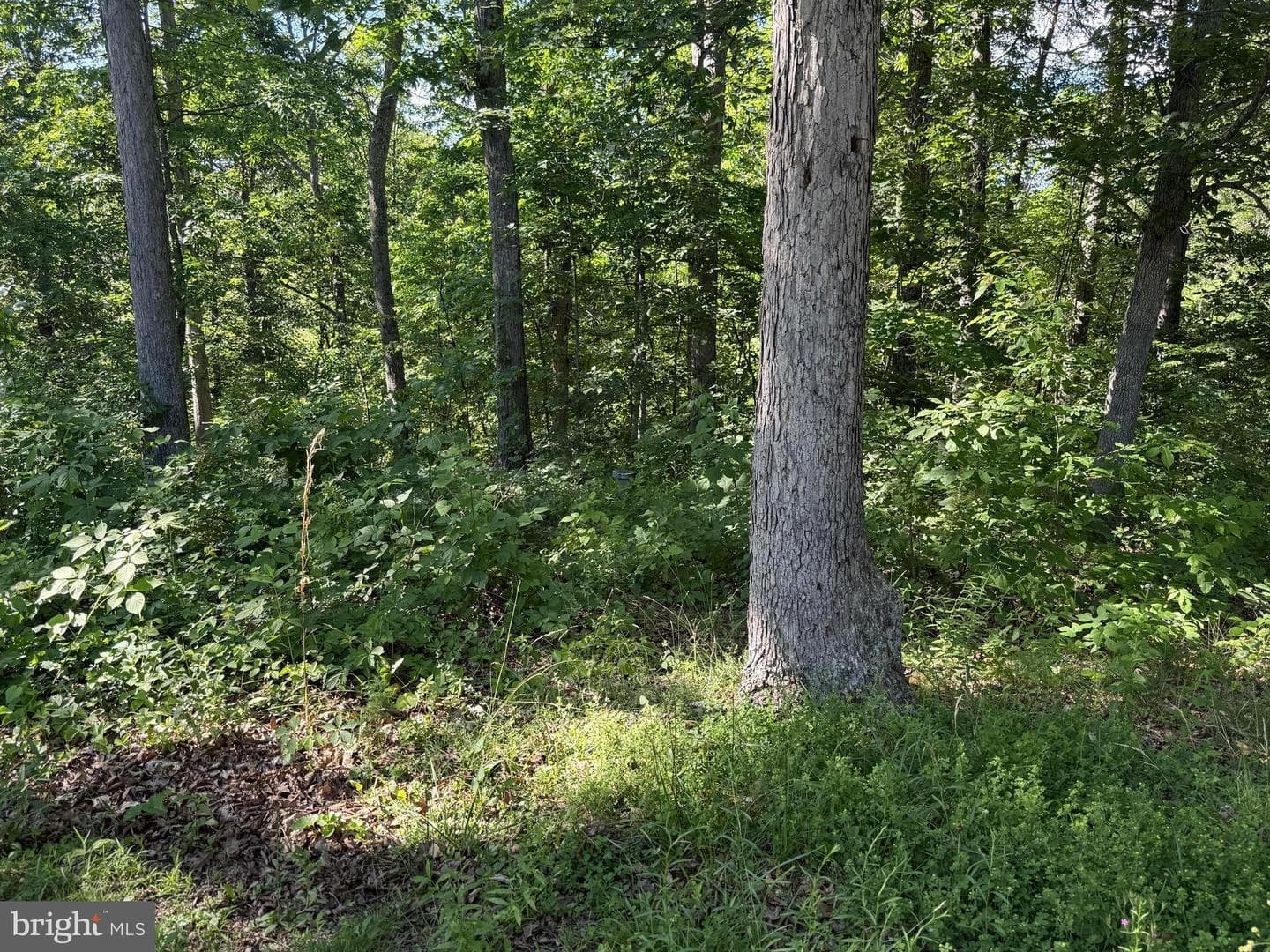 750 Hickory Corner Road photo 46