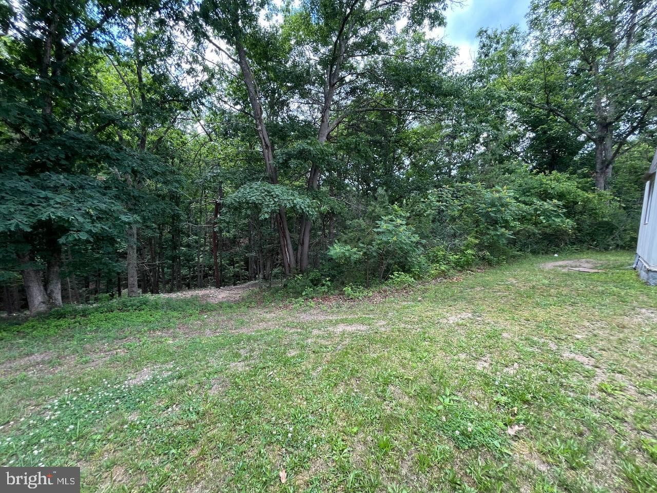 179 Angle Drive photo 20