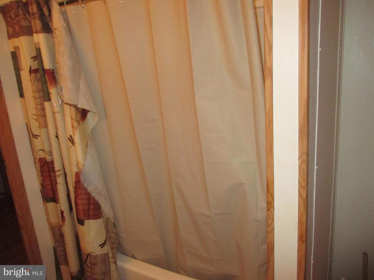390 Spirit Lane photo 21