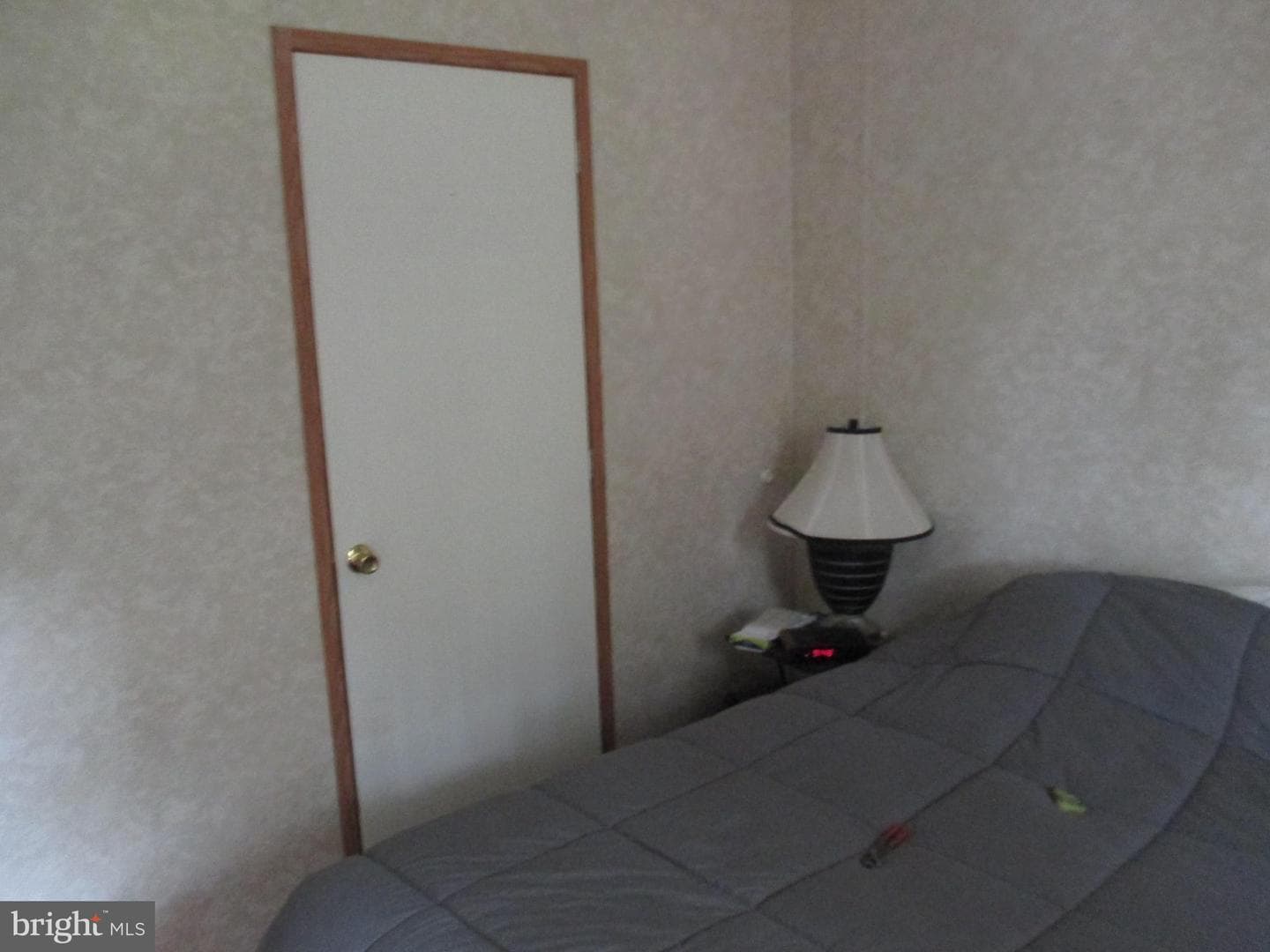 390 Spirit Lane photo 24