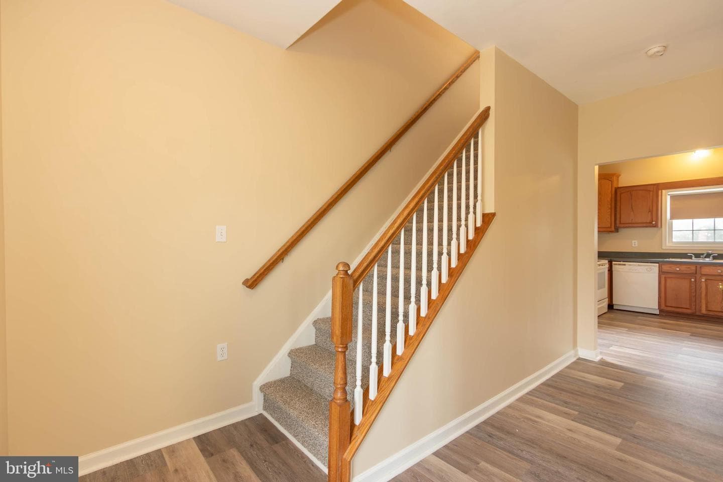 113 Maple Avenue photo 15