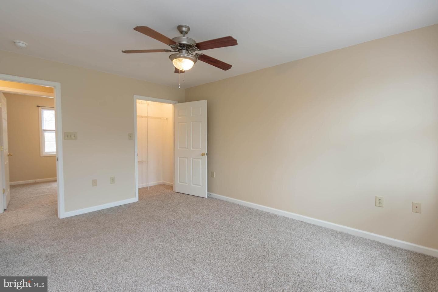 113 Maple Avenue photo 18