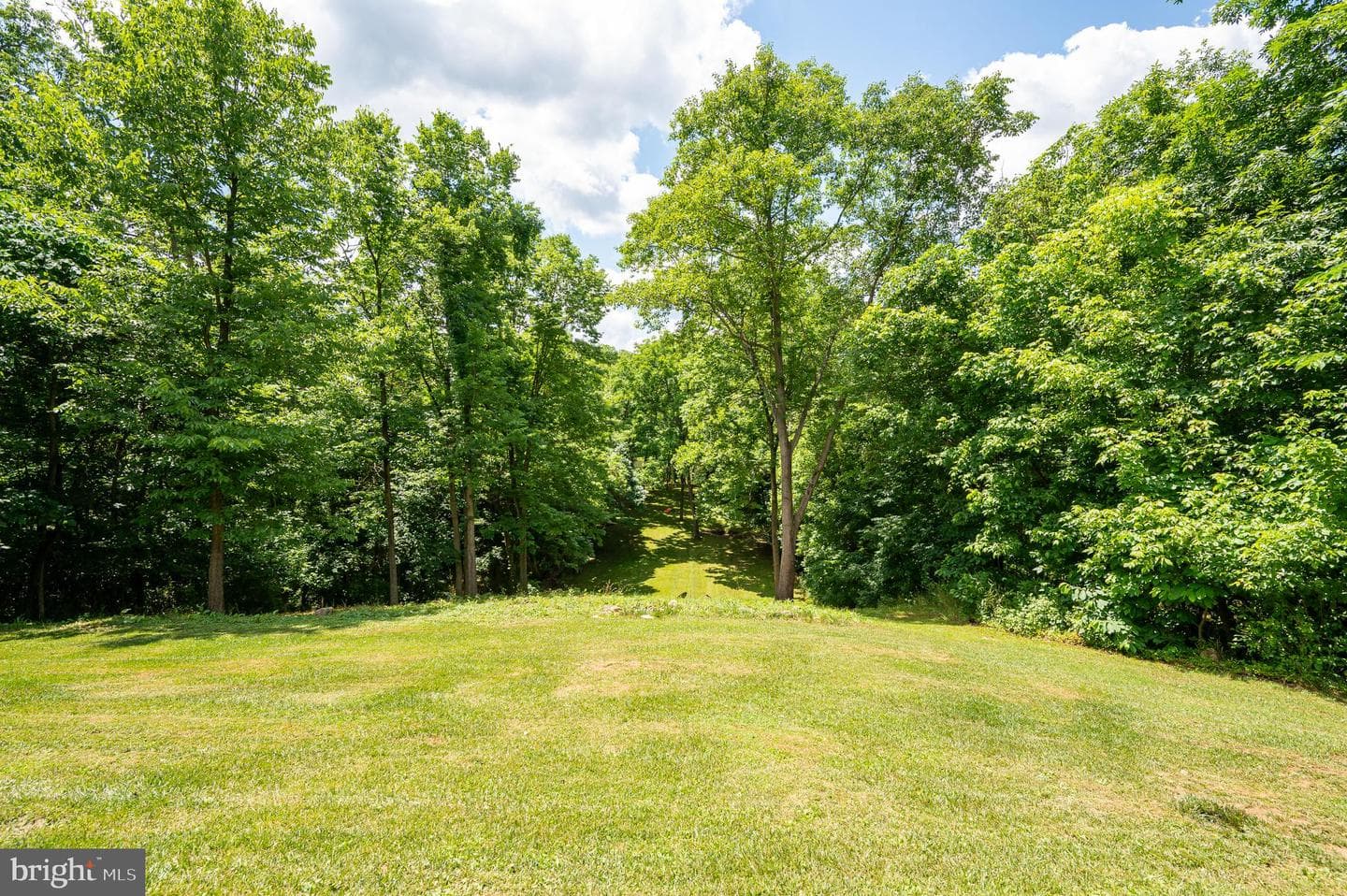 344 Bedford Drive photo 49
