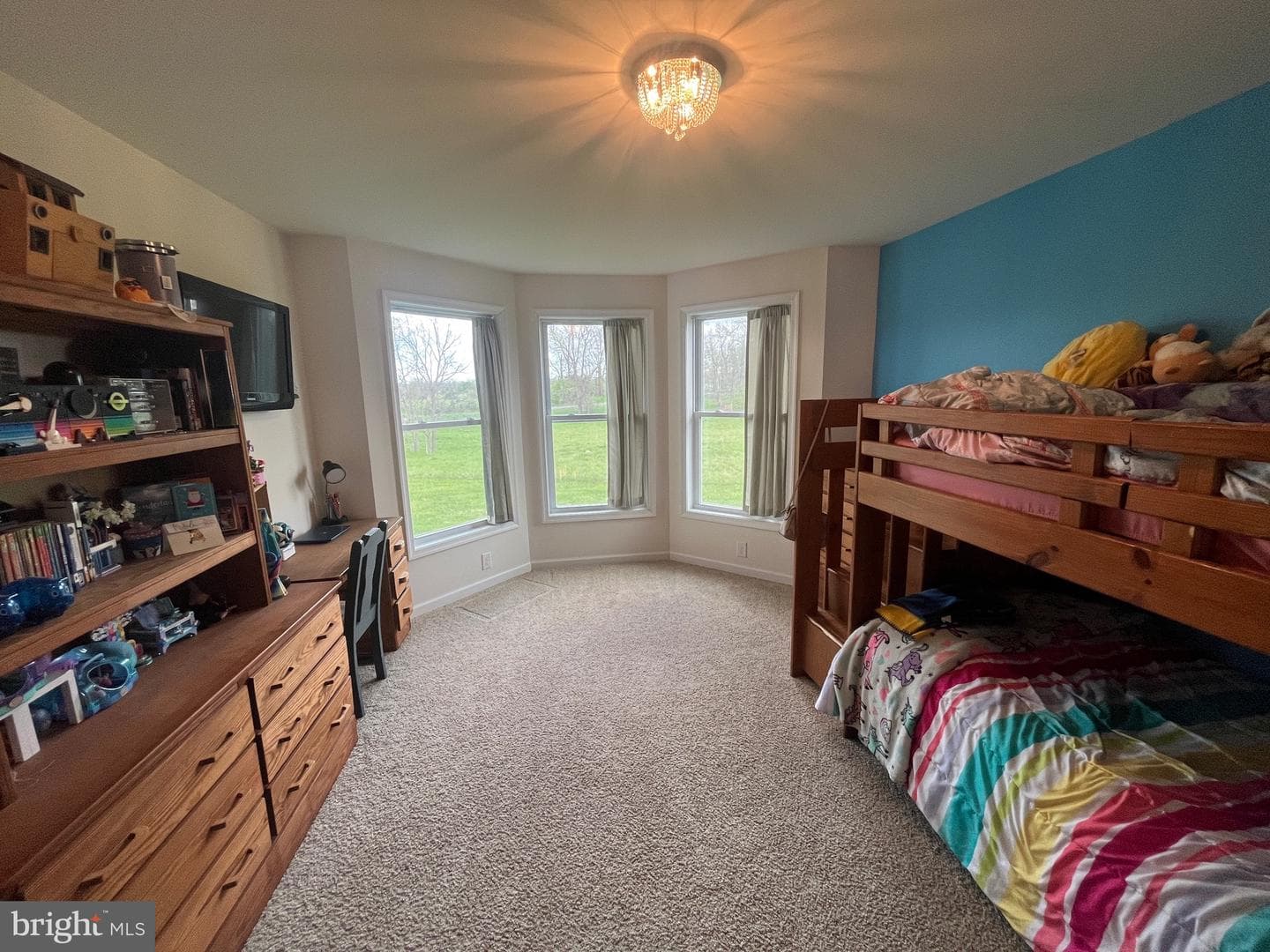83 Green Bulrush Court photo 16