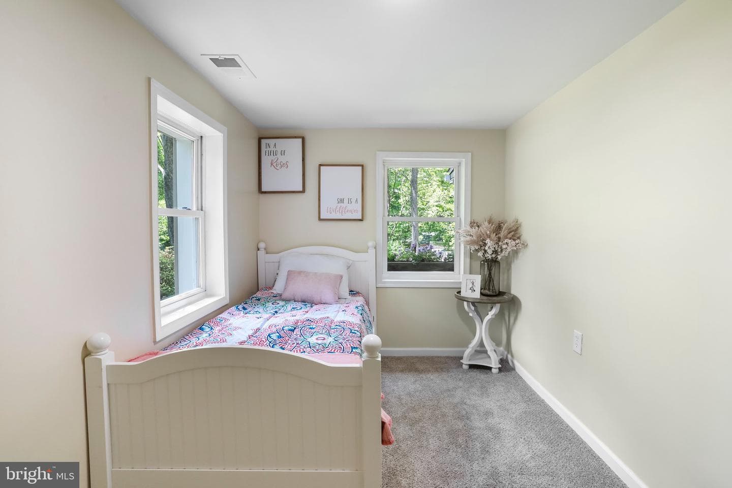 252 Blueberry Lane photo 46