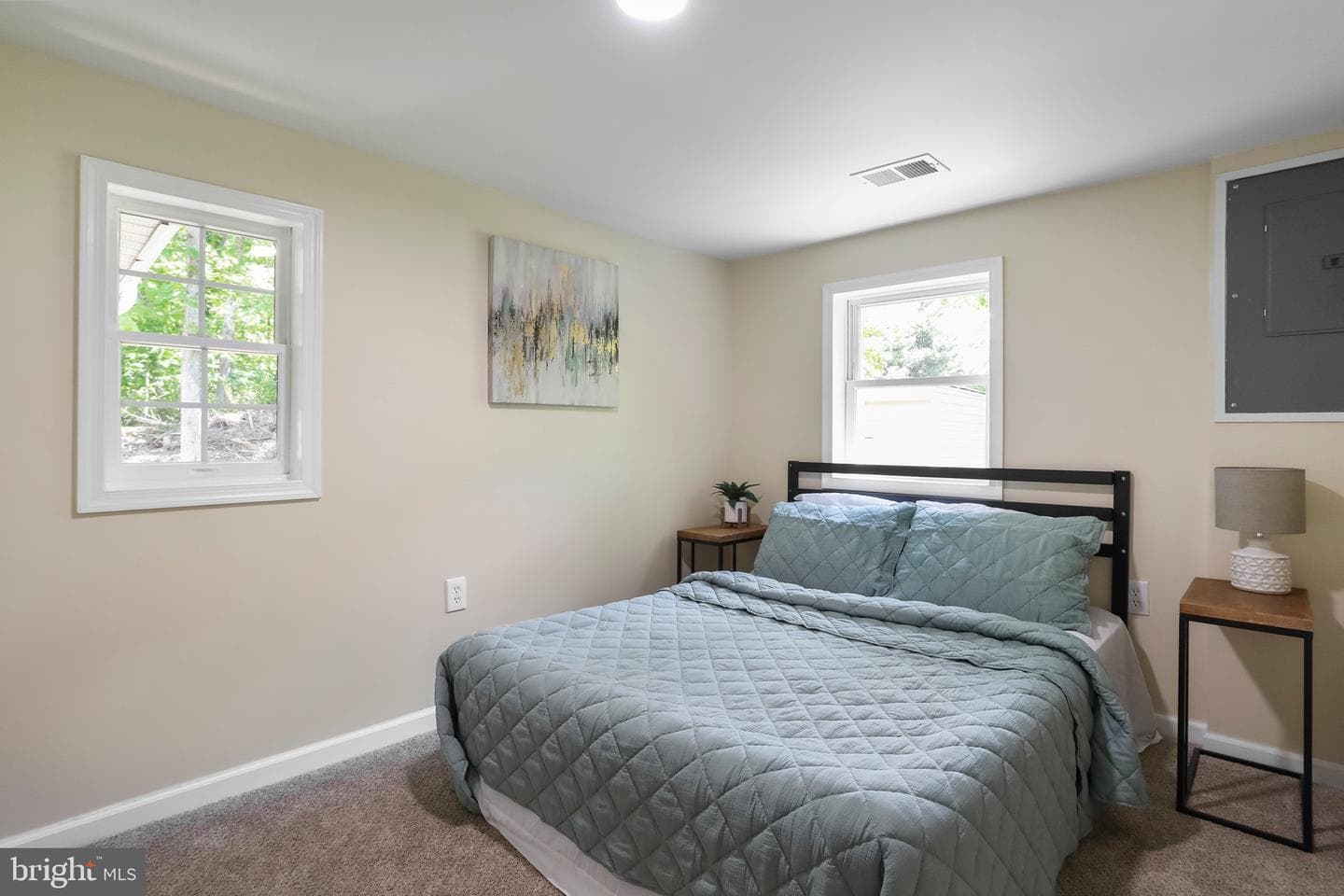 252 Blueberry Lane photo 48