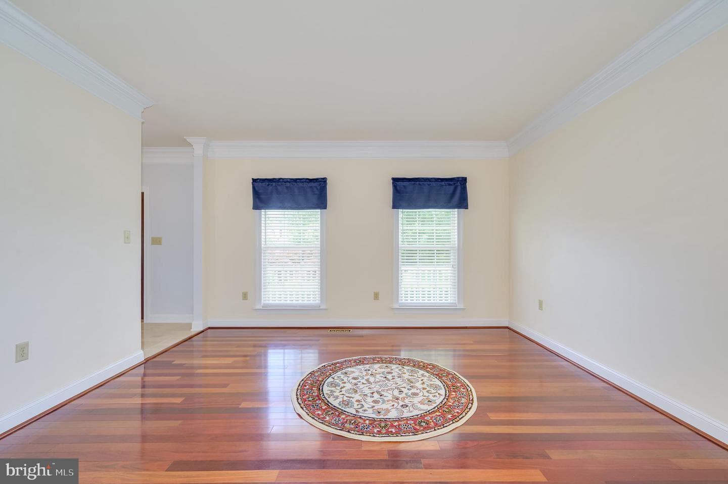 680 Mara Rose Lane photo 11