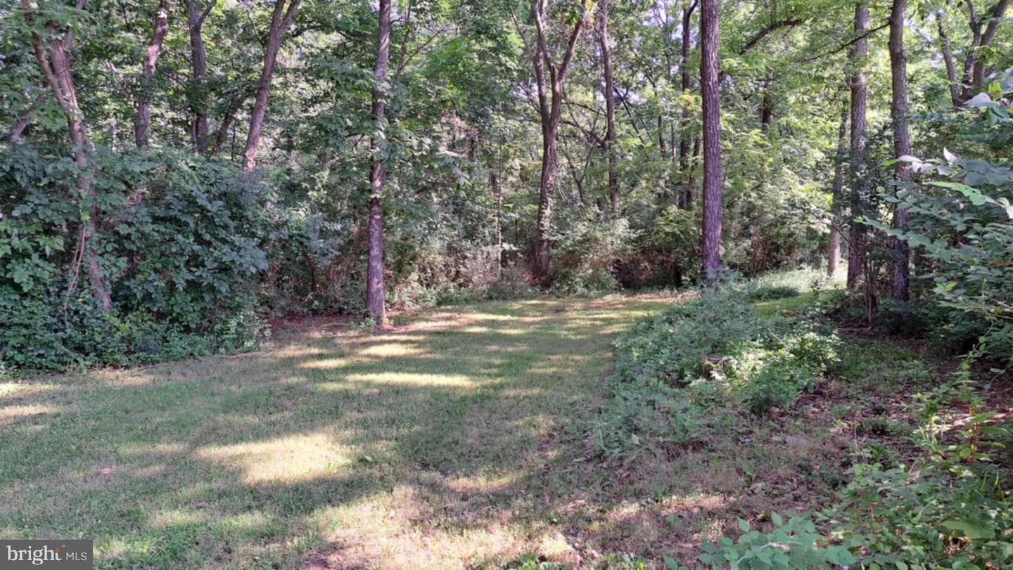 630 New Meadow Drive photo 12