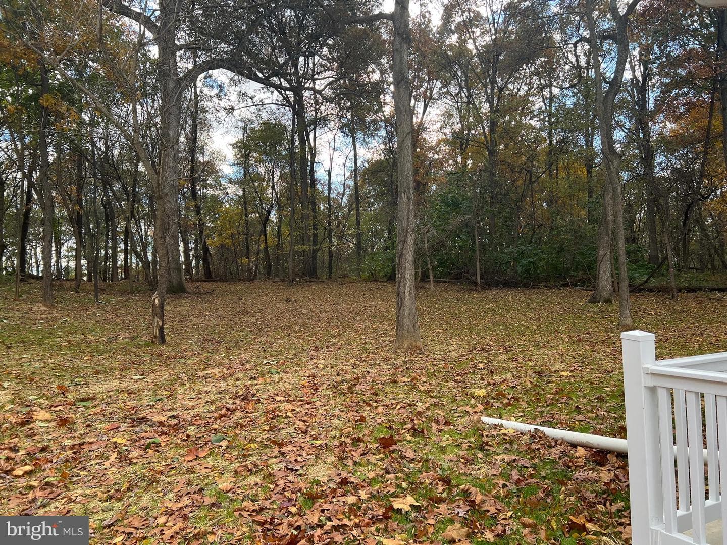 1348 Whitmer Road photo 42