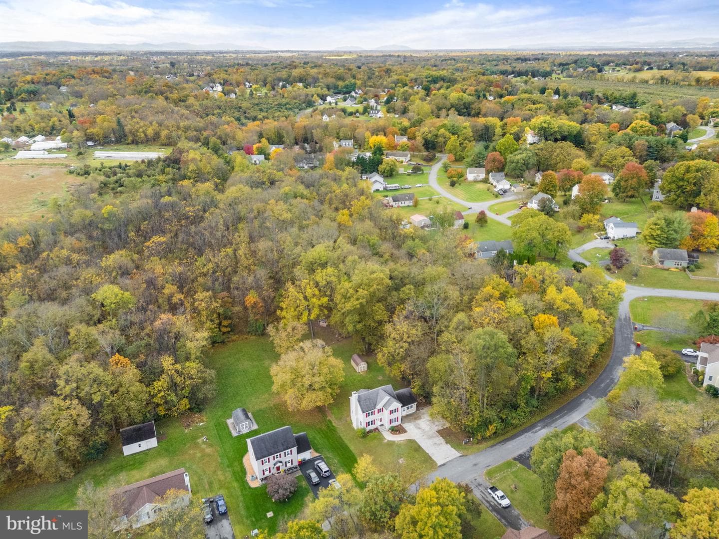 776 Thoroughbred Drive photo 79