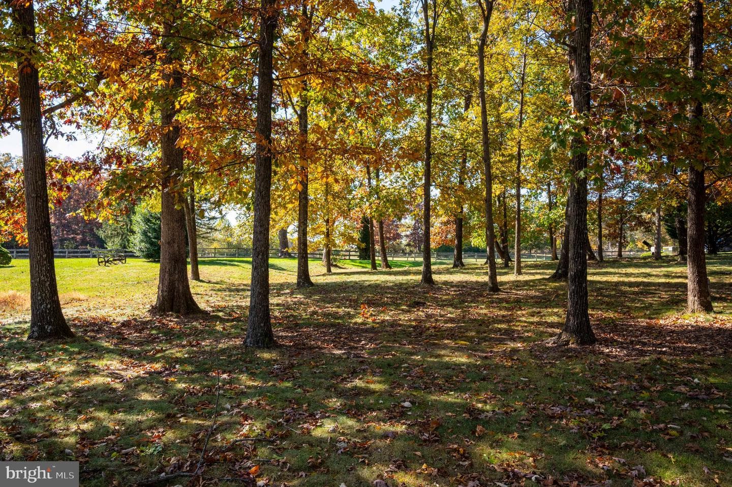 10201 Leetown Road photo 103