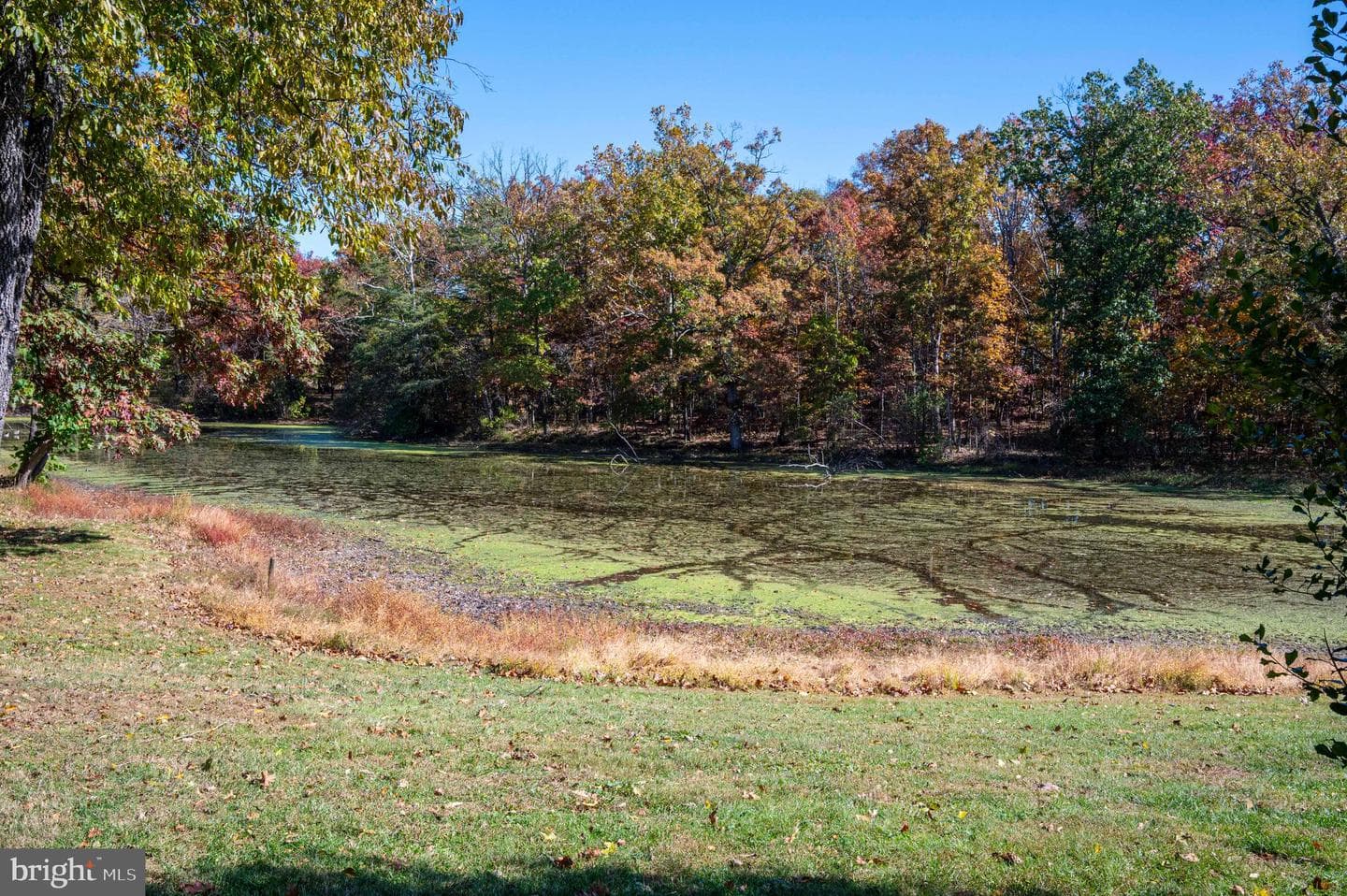 10201 Leetown Road photo 97