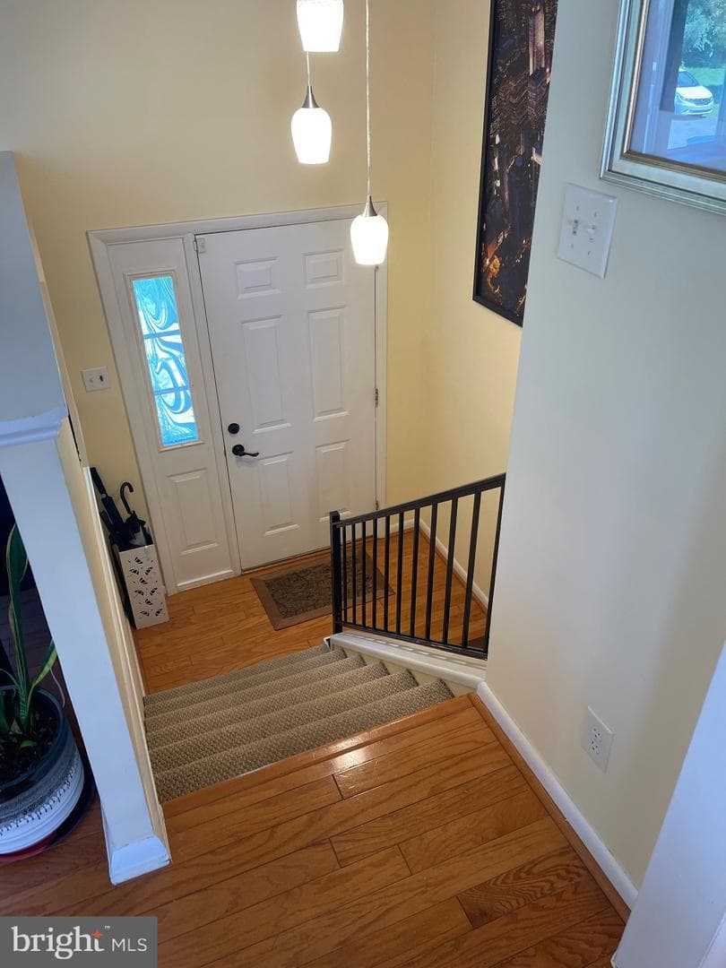 99 Exeter Court photo 20