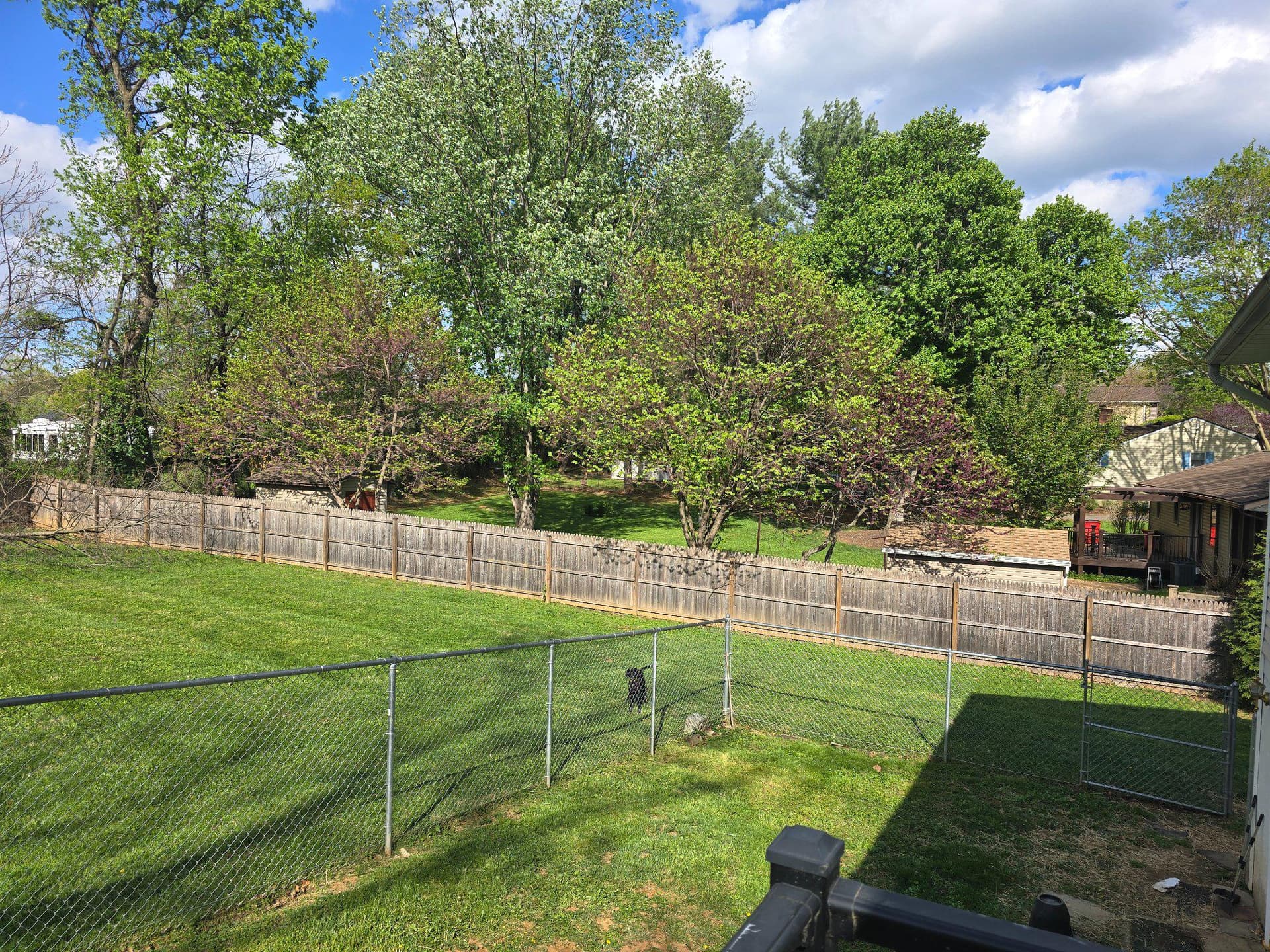 32 Scott Drive photo 36
