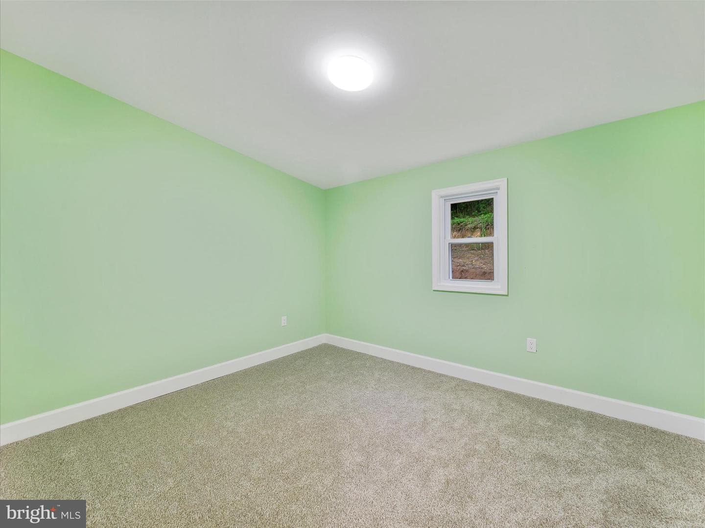 1712 Shenandoah River Drive photo 23