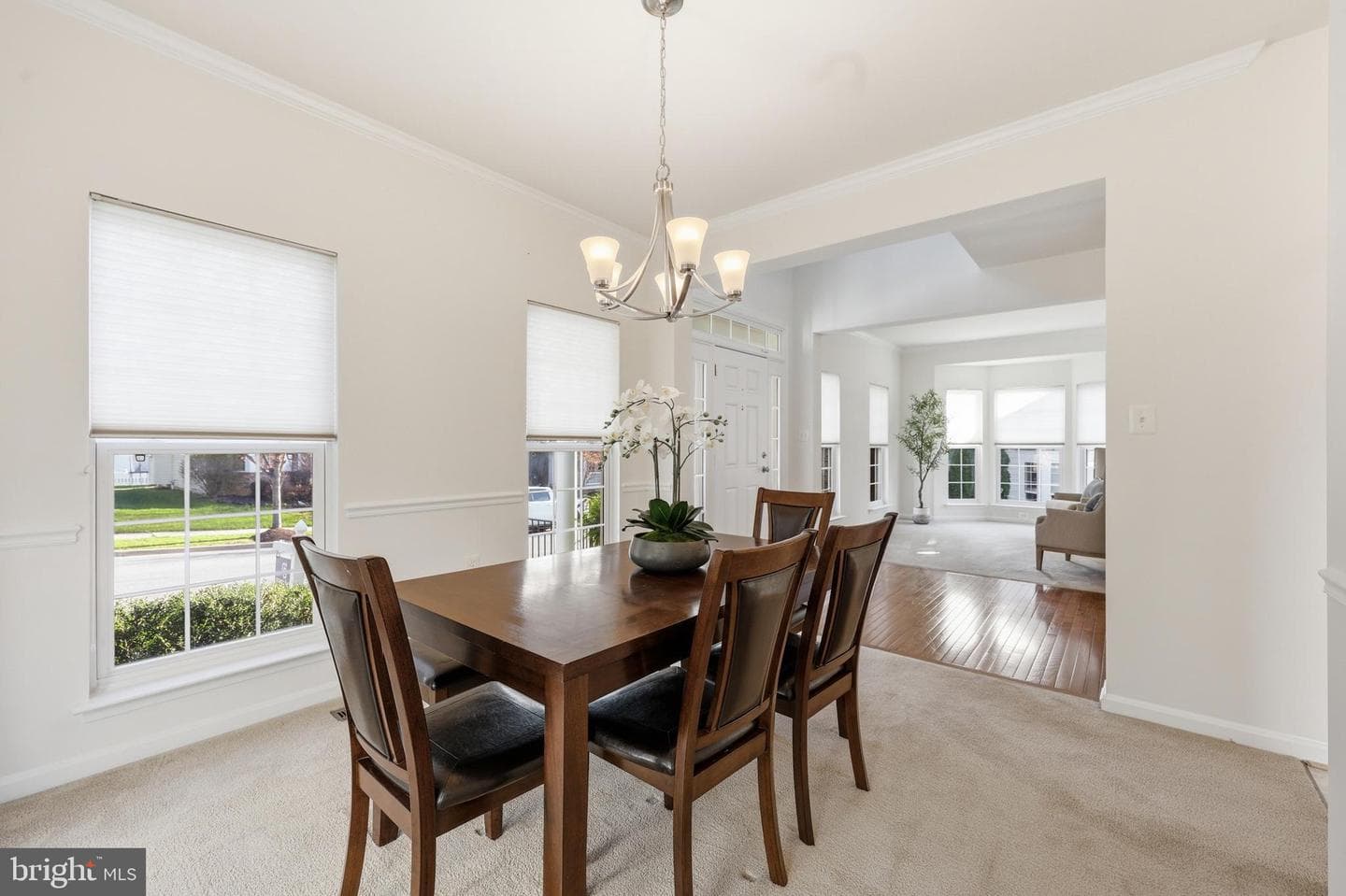 51 Battlefield Drive photo 8