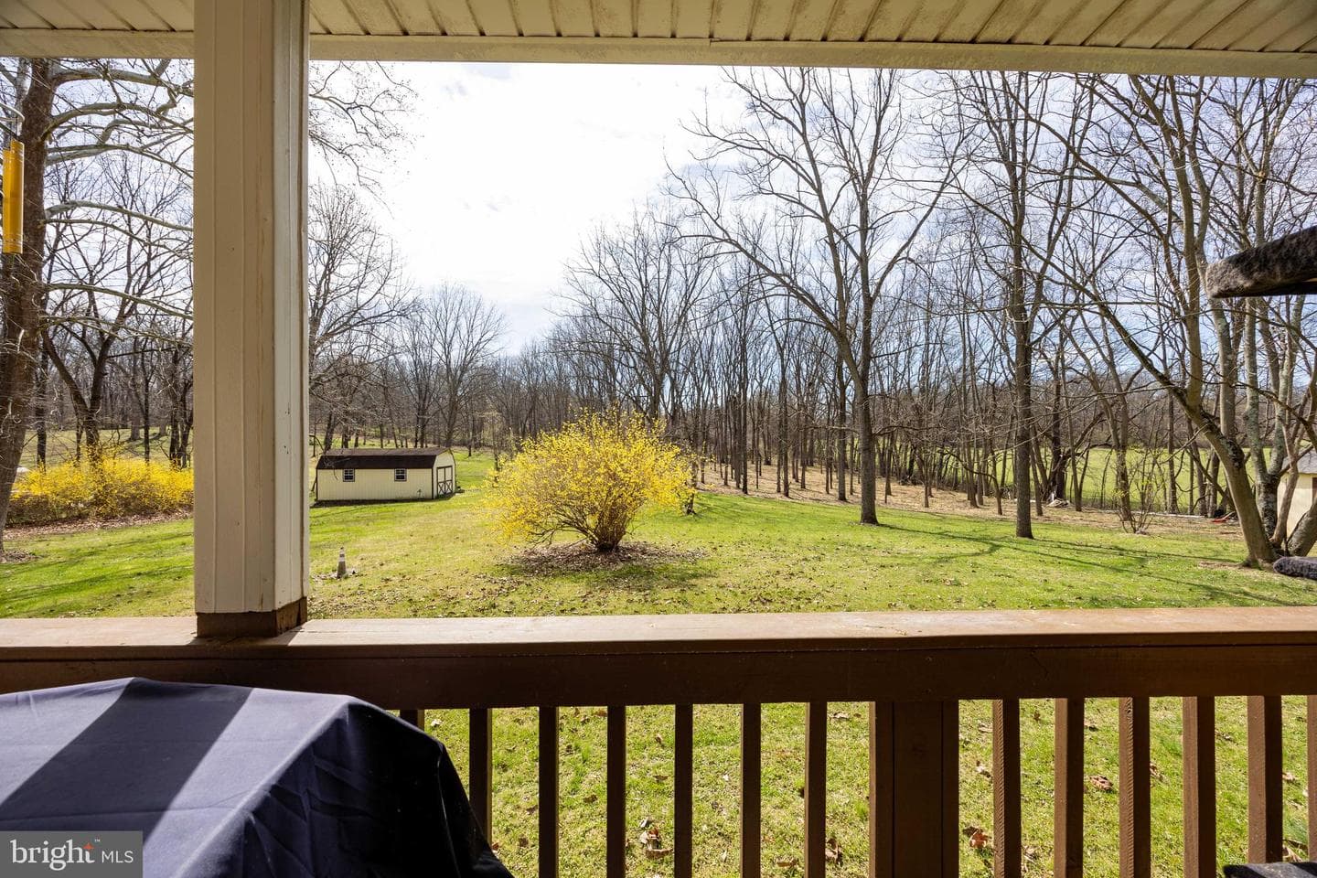 712 Morgan Grove Road photo 58