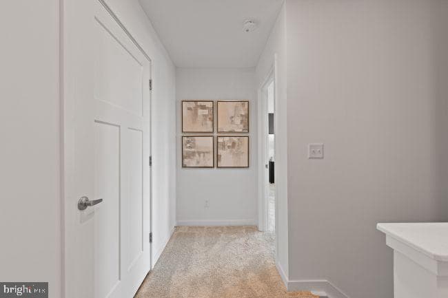 7 Thorton Avenue photo 20