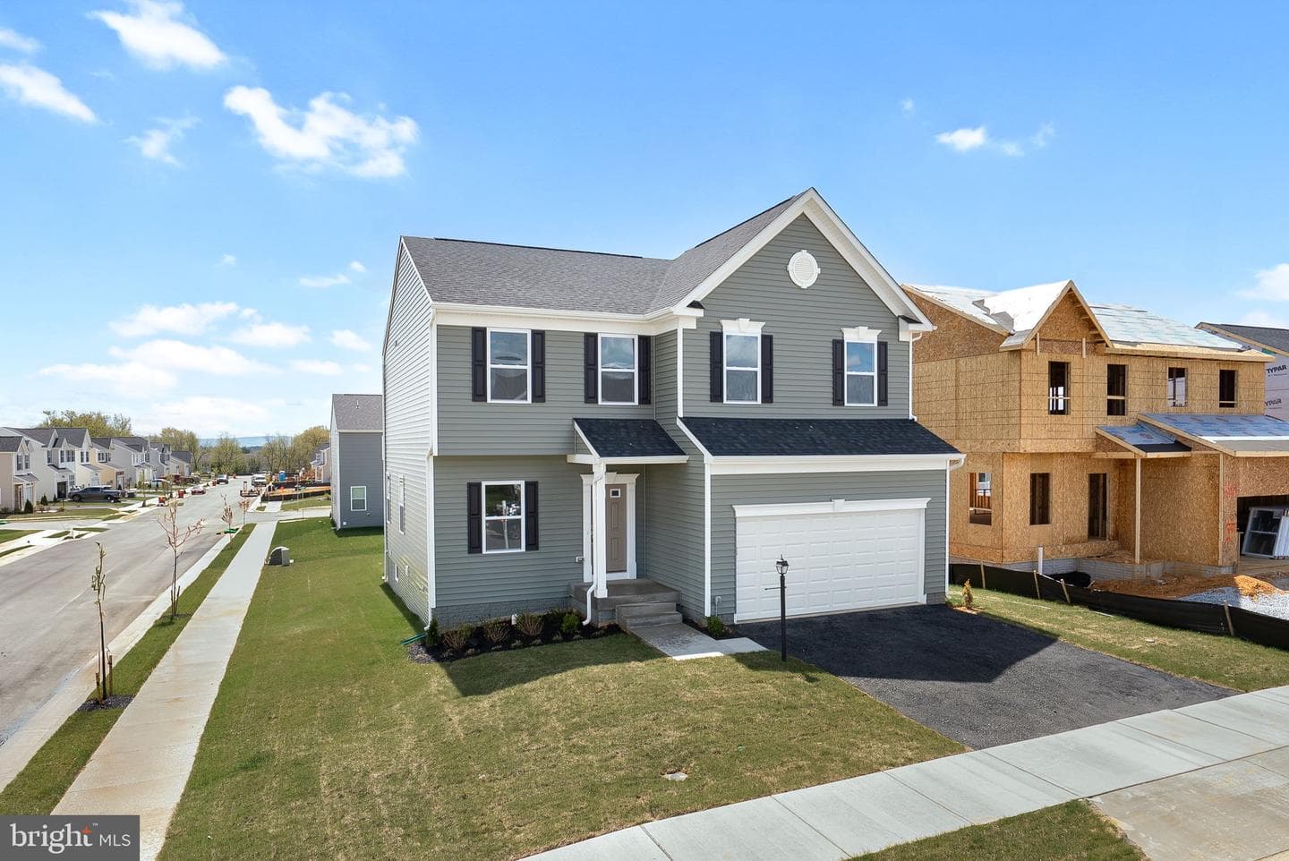 6 Freeman Street photo 18
