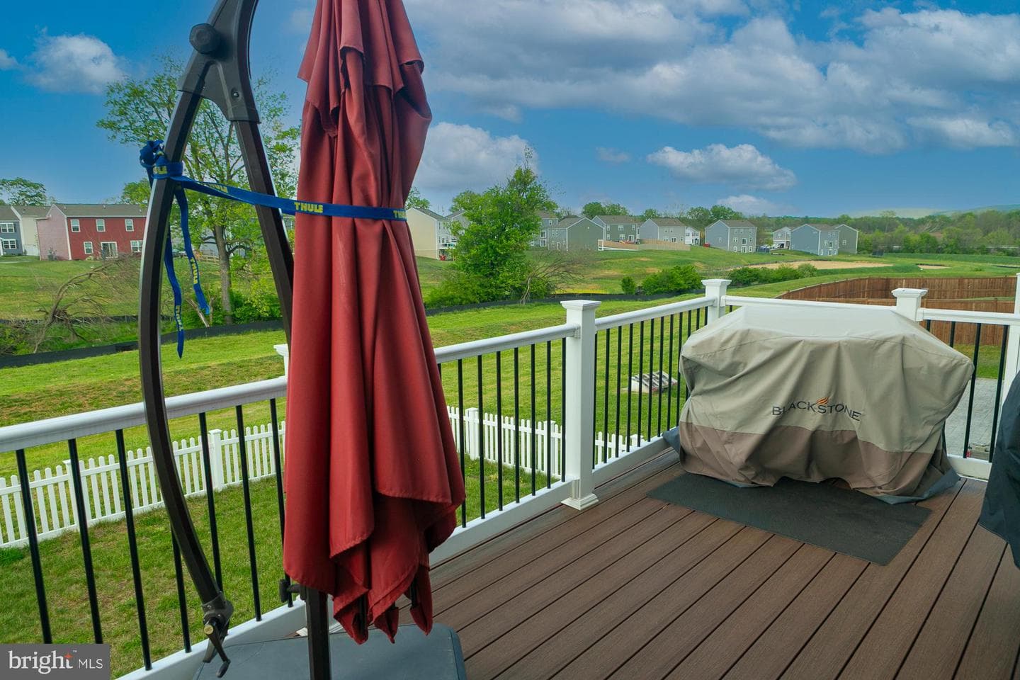 354 Gumspring Drive photo 49