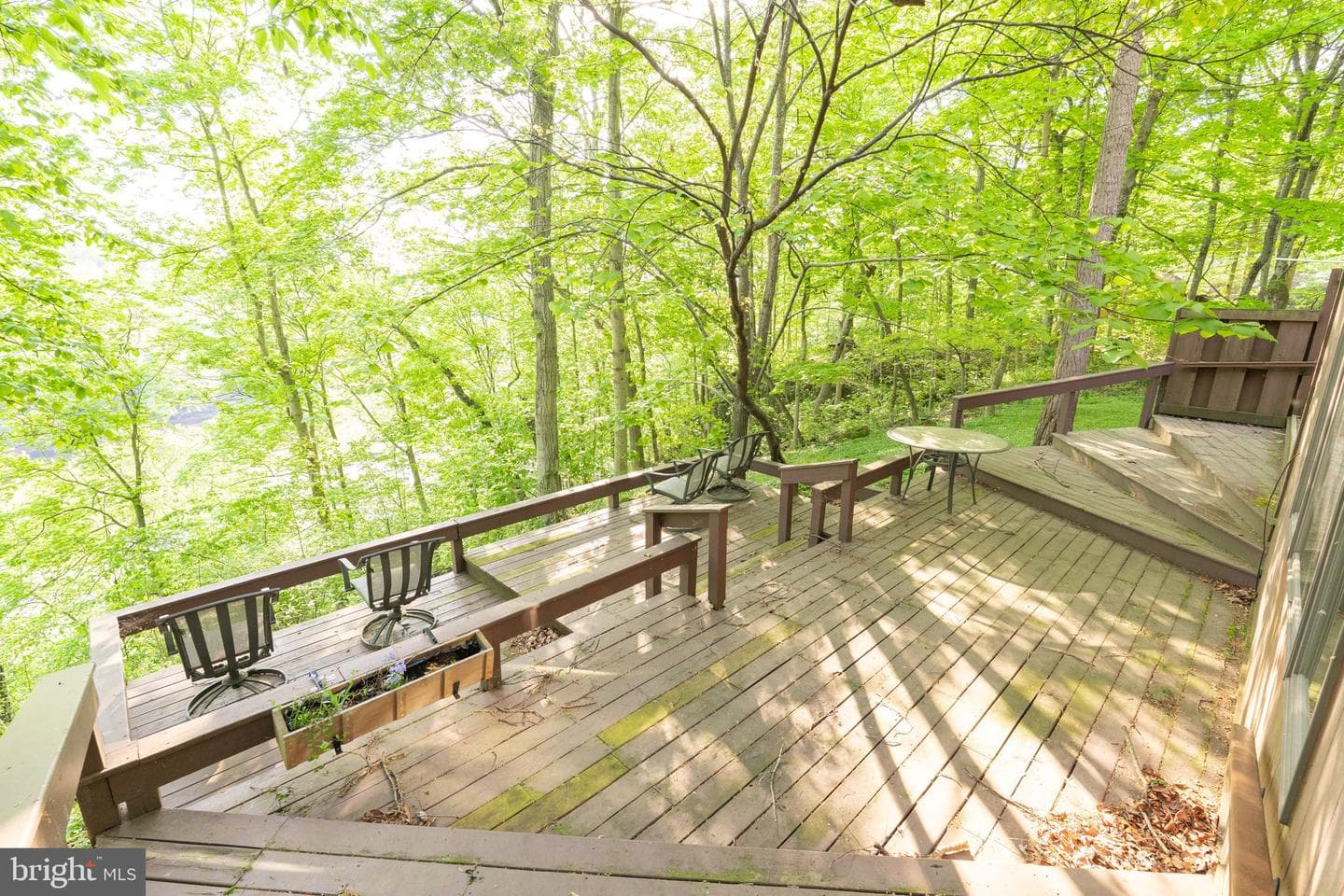1223 Steamboat Run Road photo 16