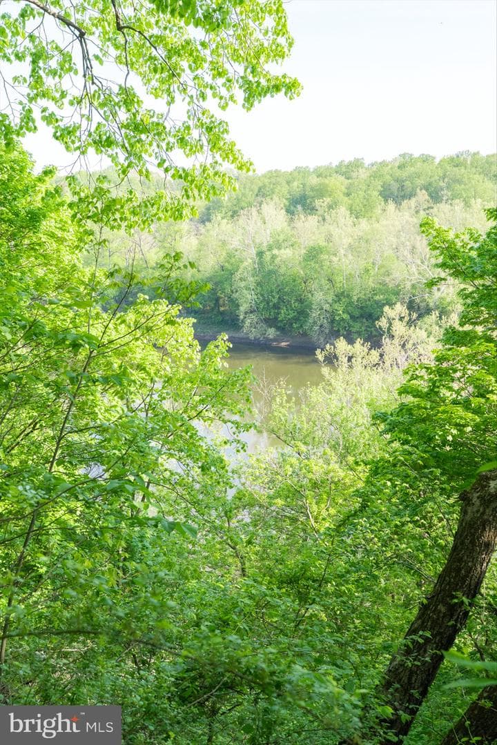 1223 Steamboat Run Road photo 49