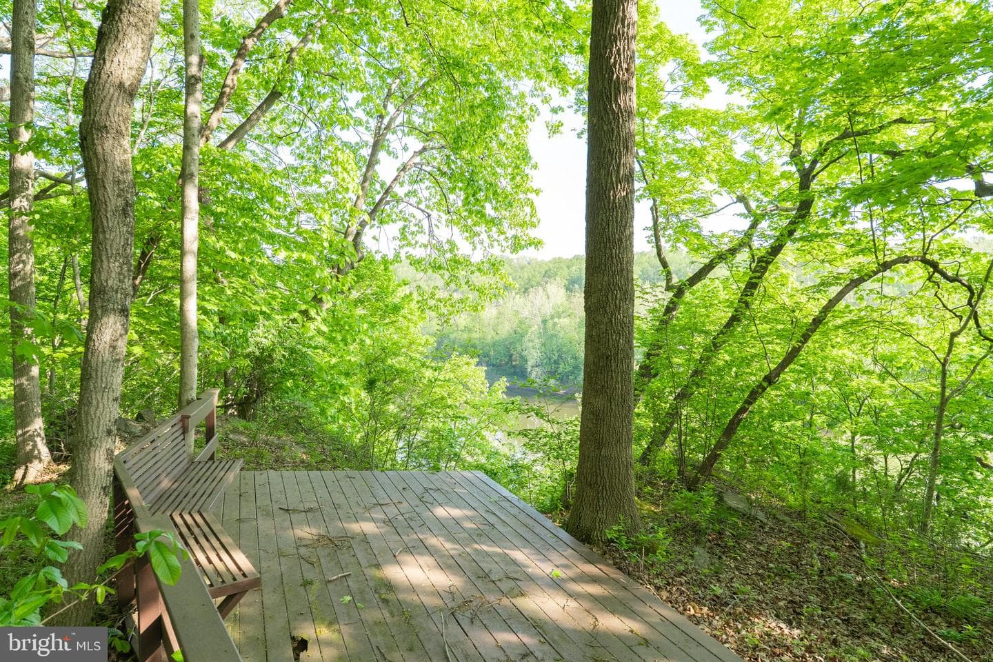 1223 Steamboat Run Road photo 50