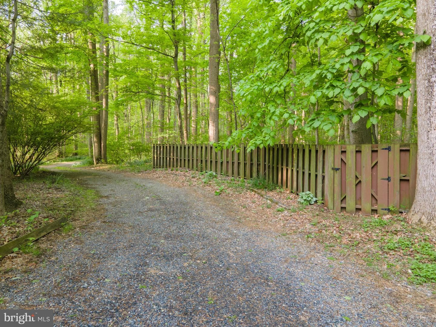 1223 Steamboat Run Road photo 54