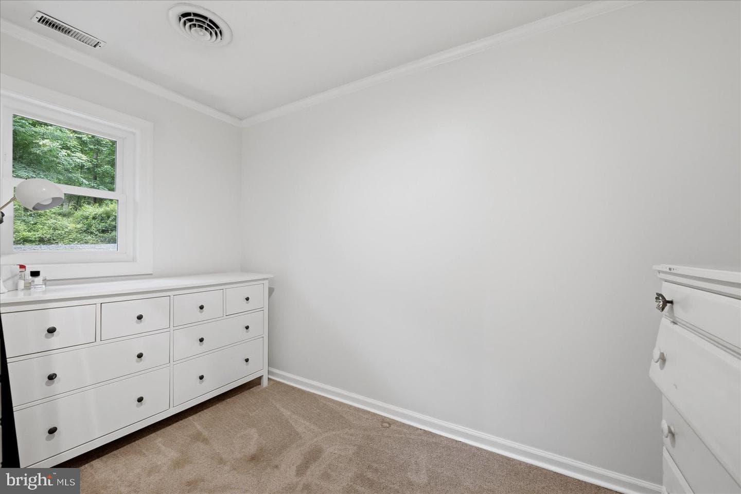 65 Floral Lane photo 28