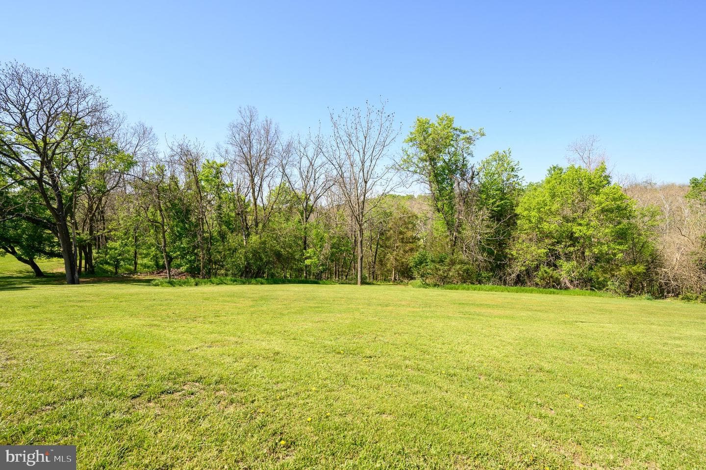 63 Brentwood Court photo 60