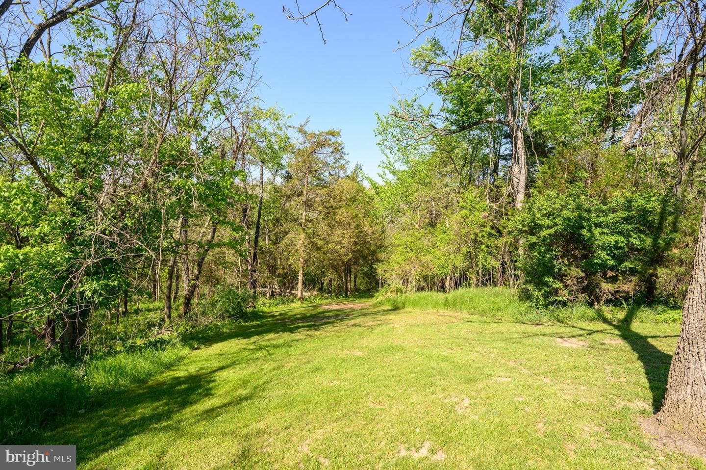 63 Brentwood Court photo 61