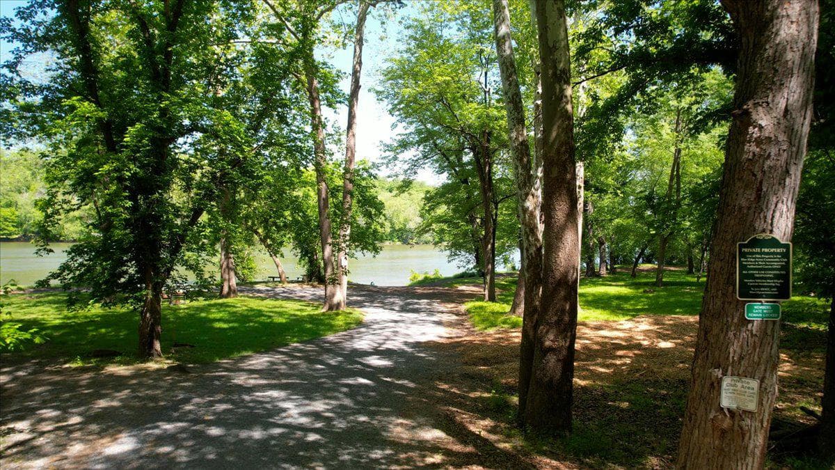291 River View Drive photo 6