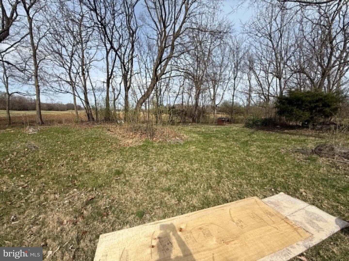 376 Logie Ln photo 11