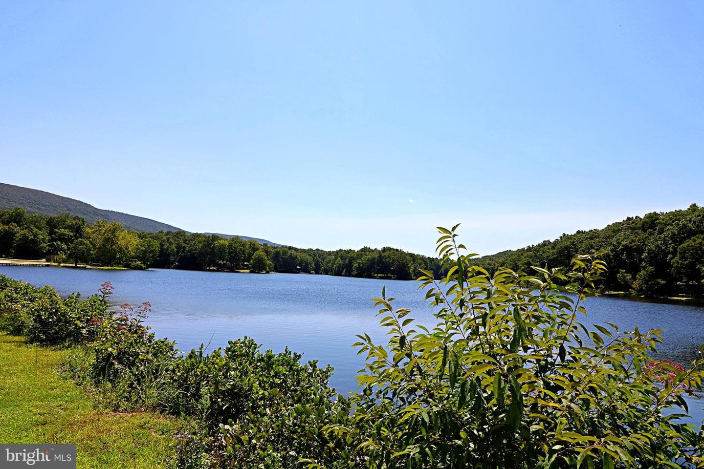 194 Black Bear Trail photo 75