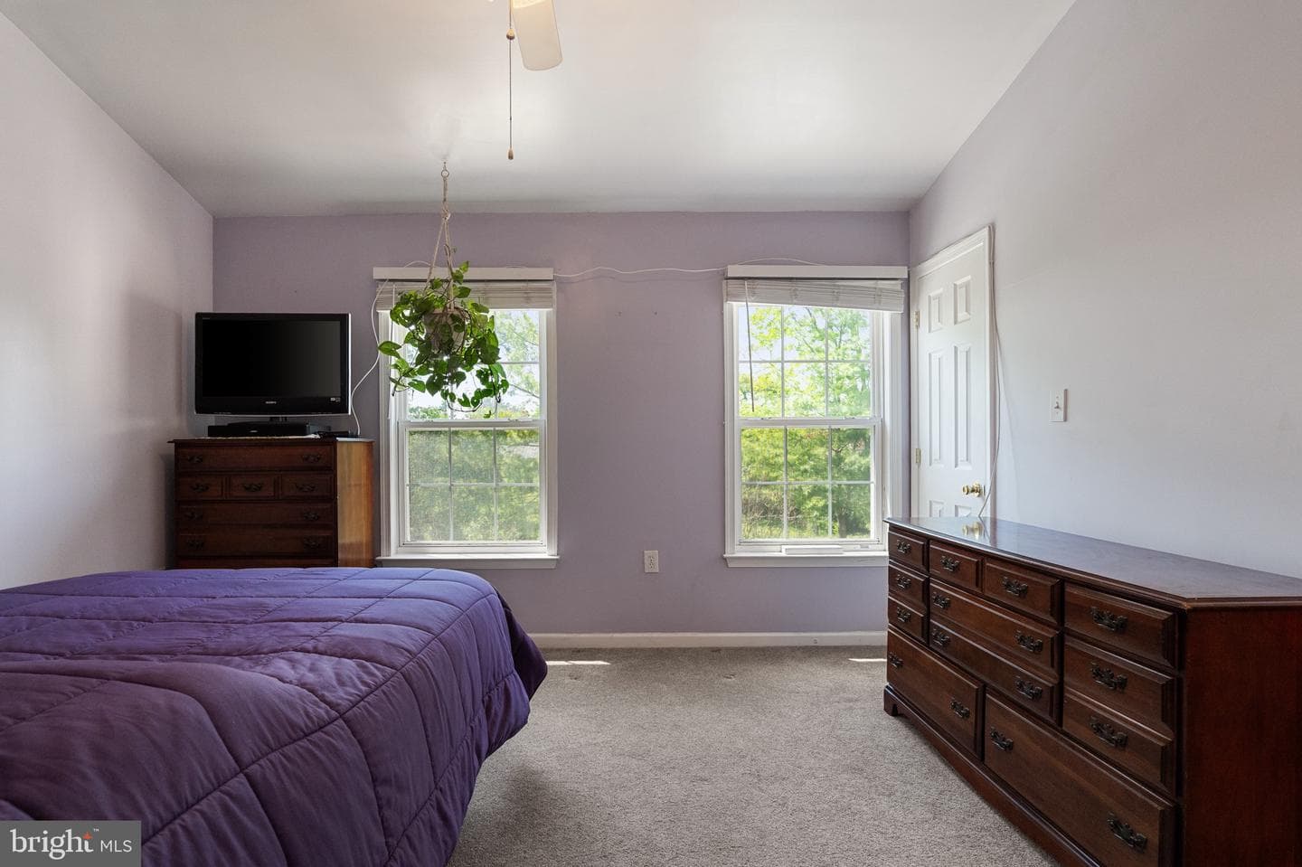 101 Eldon Drive photo 12