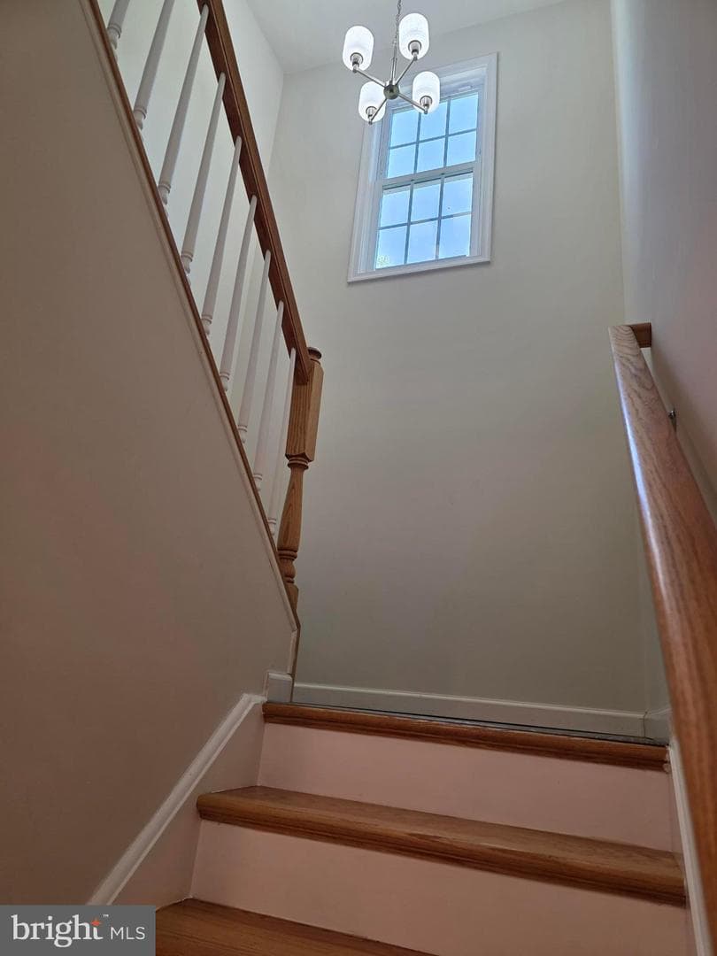 167 Hyde Park Ln photo 20