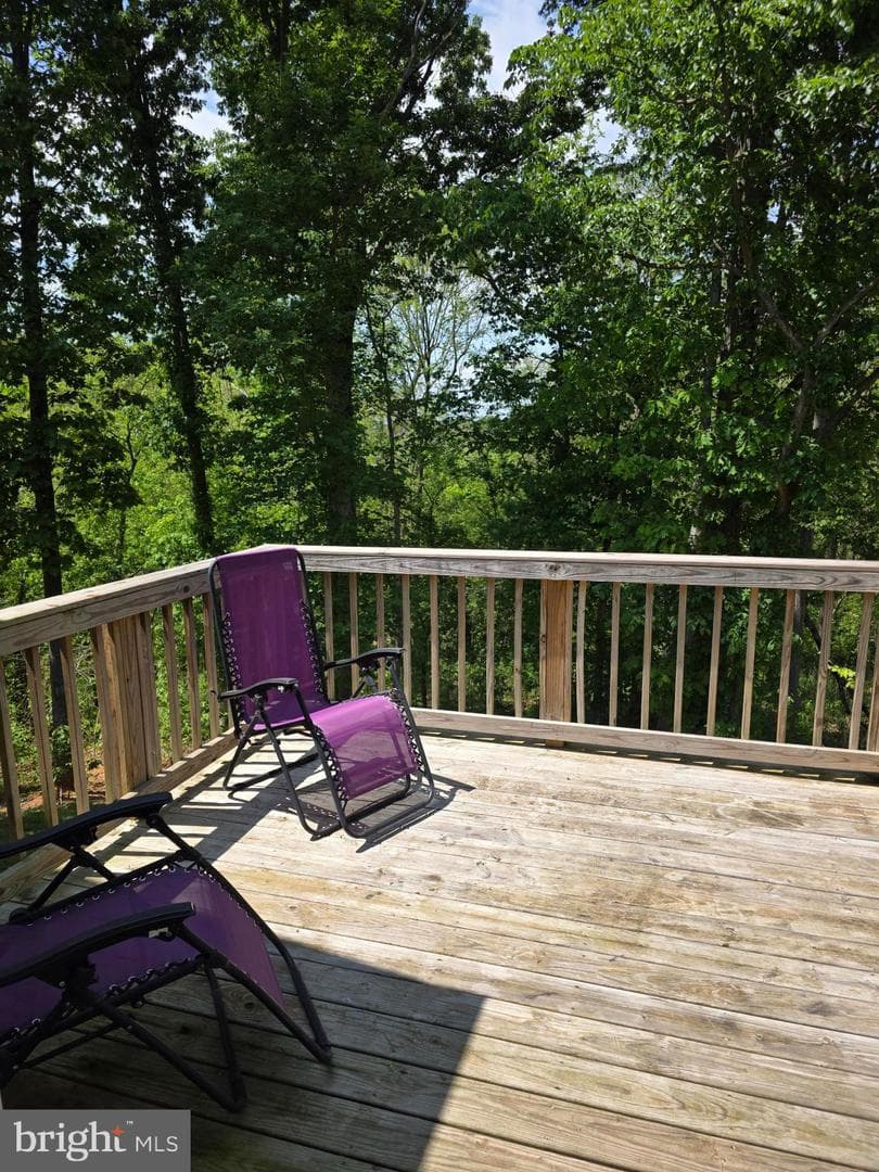 167 Hyde Park Ln photo 28
