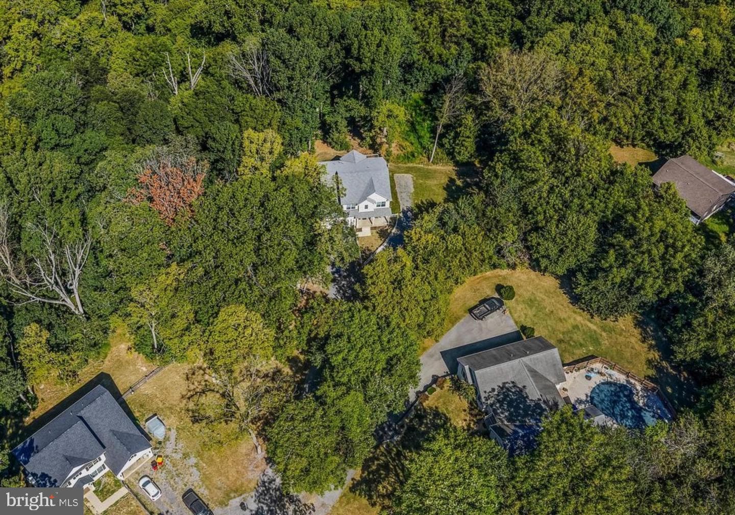 167 Hyde Park Ln photo 43