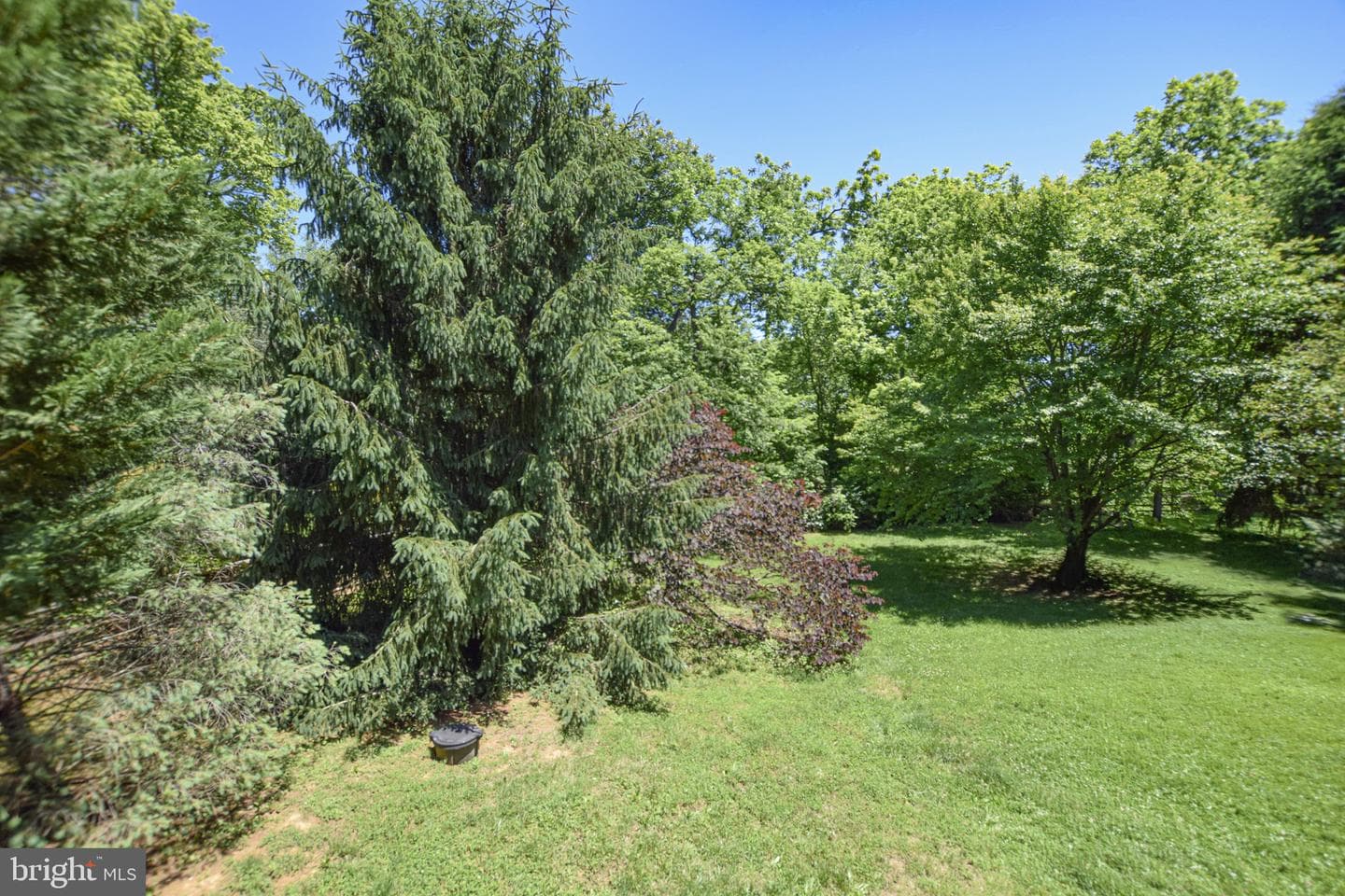 438 Sawgrass Drive photo 35