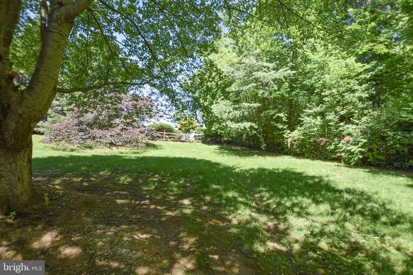 438 Sawgrass Drive photo 38