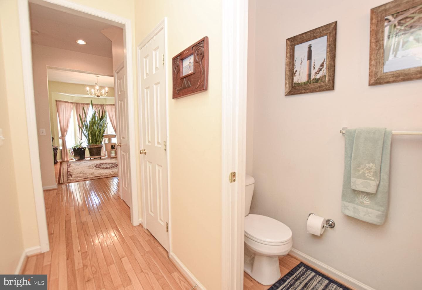 438 Sawgrass Drive photo 9