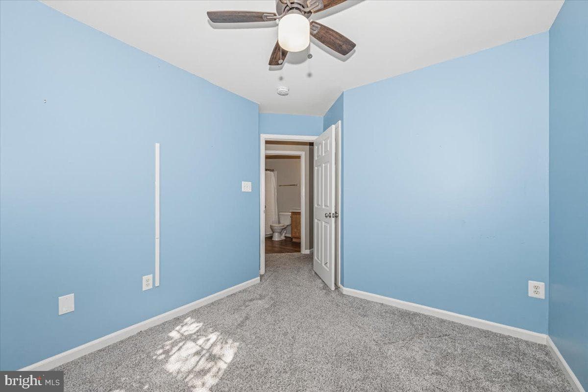 42 Payne Street photo 26
